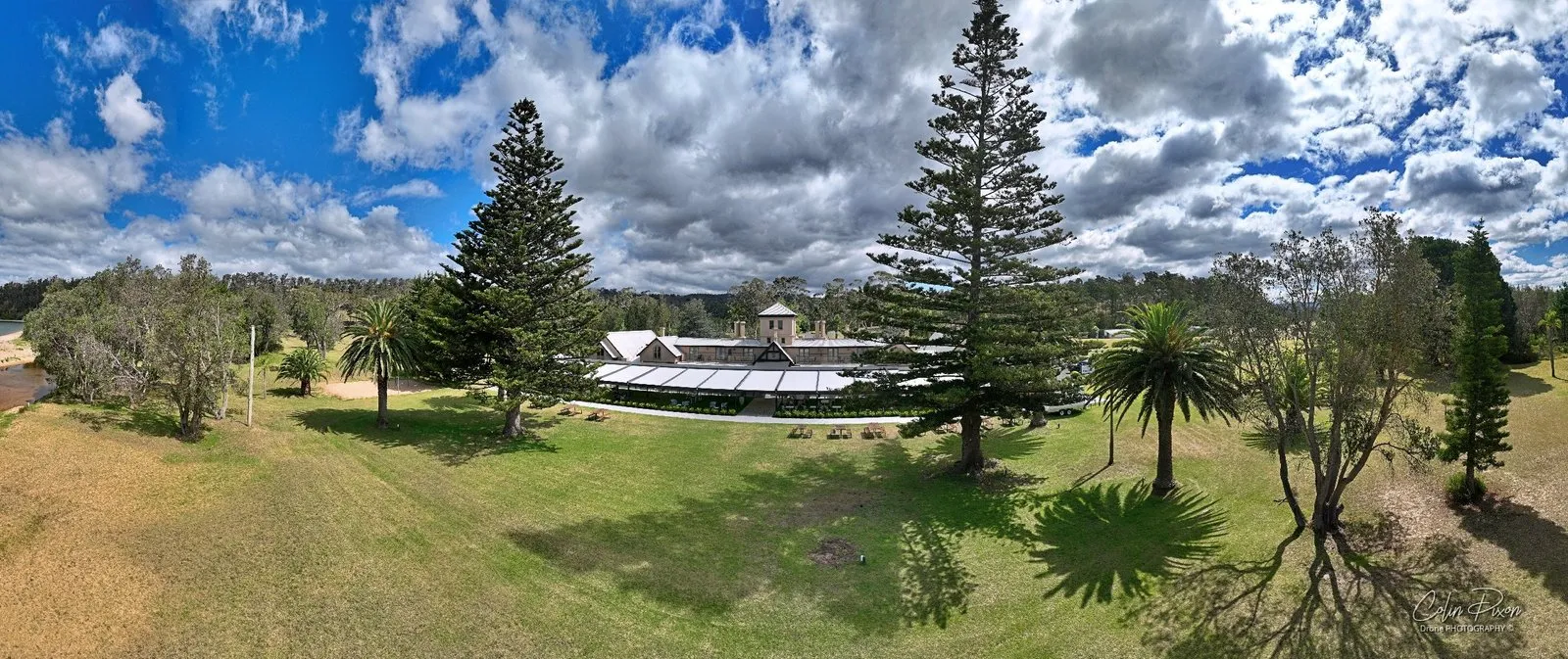 A 180 degree panorama of the Seahorse Inn behind its lawn, Norfolk pines and palms